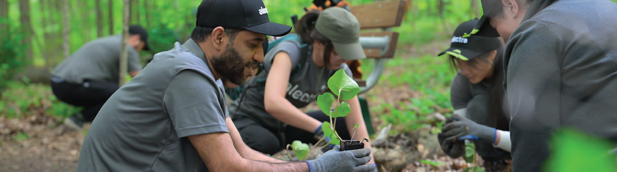 Alectra Cares Banner Image