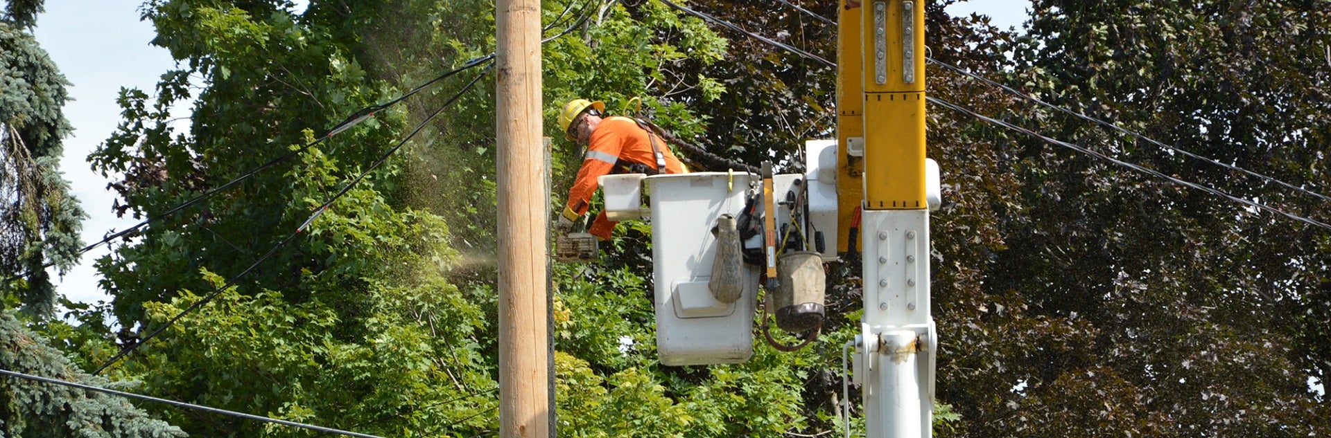 Energize Your Engineering or Trades Career