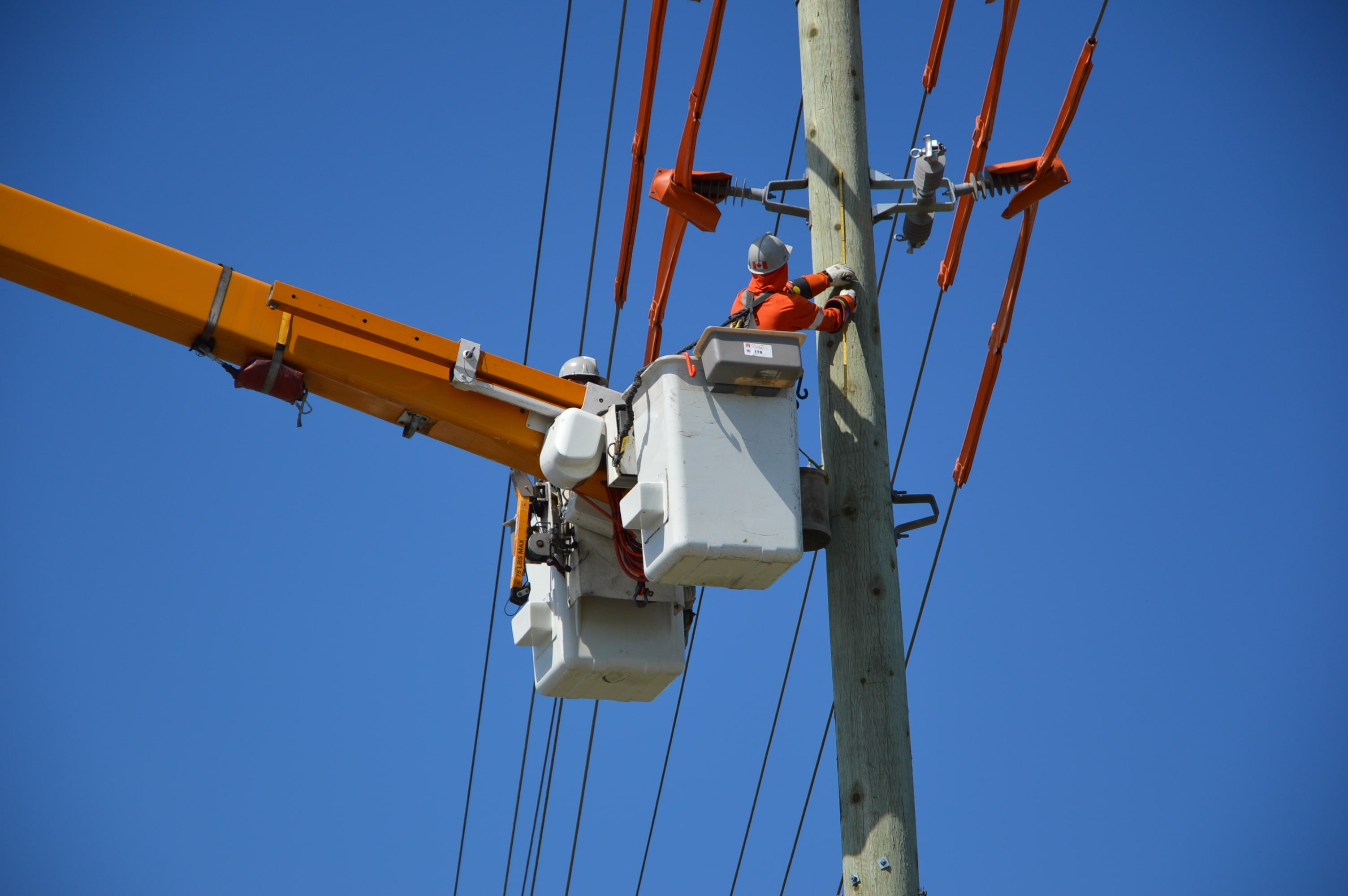 Alectra technician repairing pole