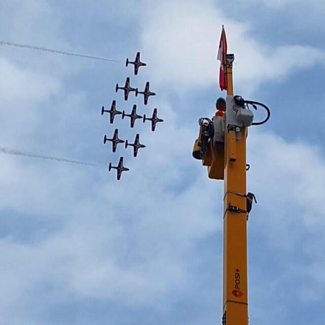 Snowbirds Project Inspiration